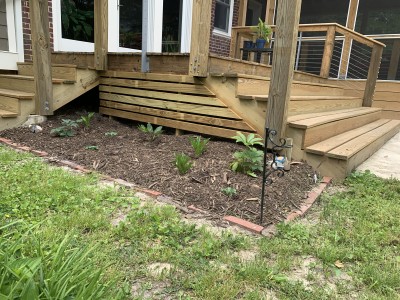 Deck planting